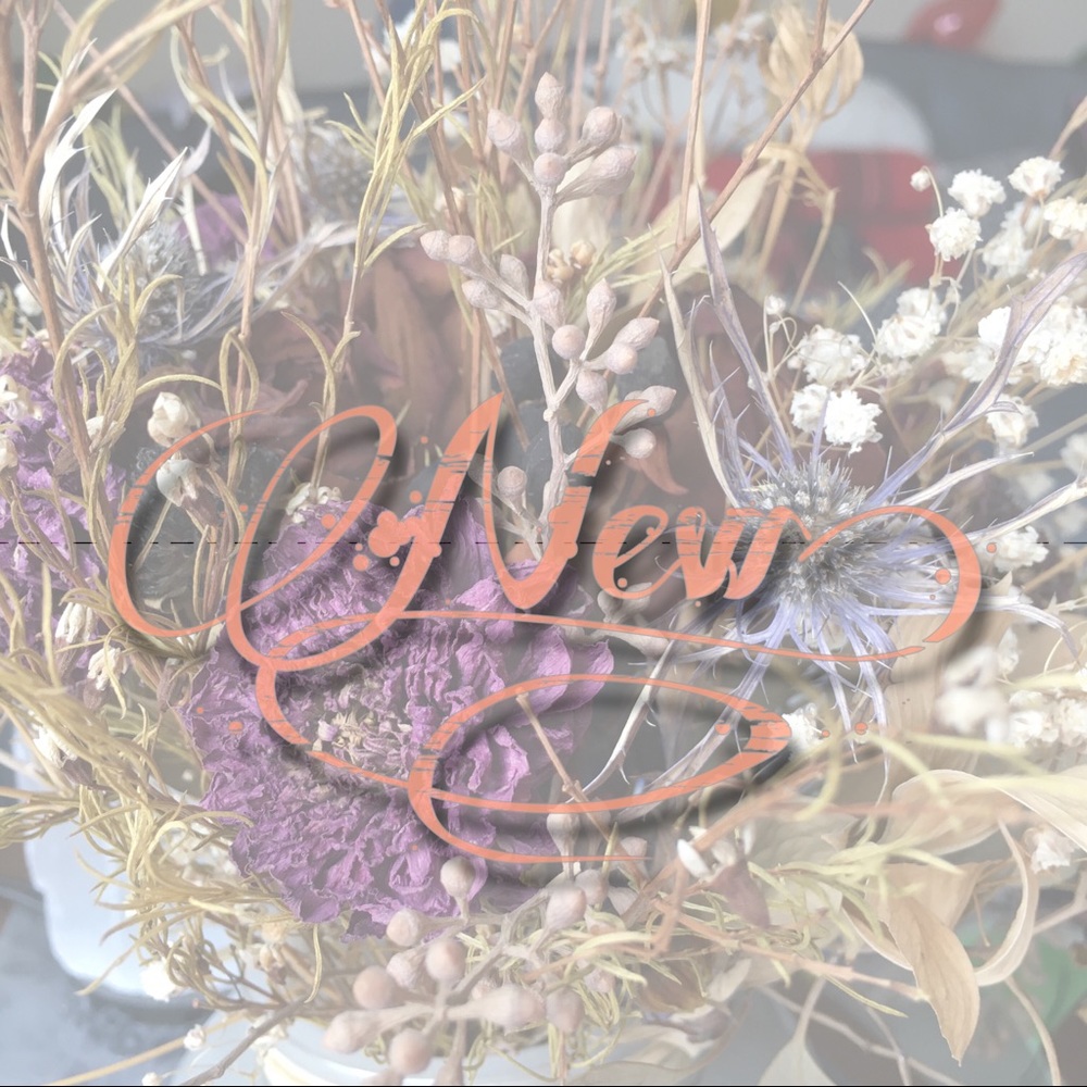 New listings NWT EUC